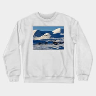 Black Mount neon glow , the Highlands, Scotland Crewneck Sweatshirt